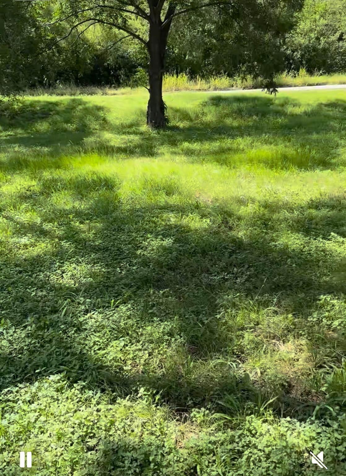 10002 Highway Fm 969 Rd - Photo 1