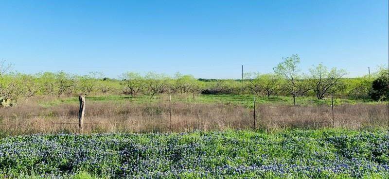 3385 County Road 464 - Photo 1