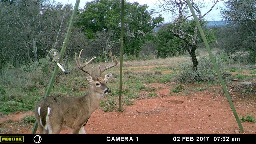 4699 County Road 405 - Photo 1
