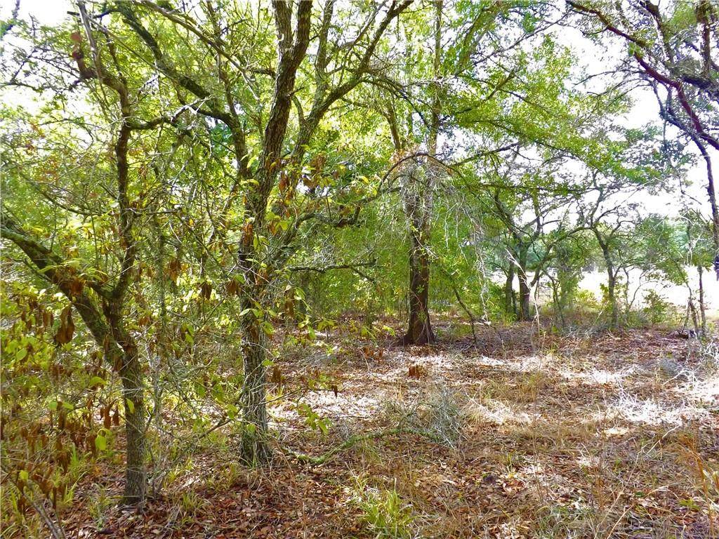 0 Sandy Creek Rd - Photo 1
