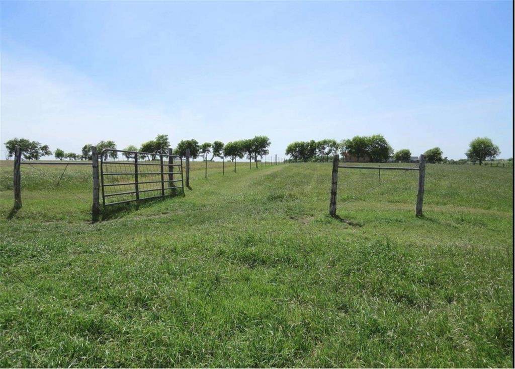 1001 County Road 433 - Photo 1