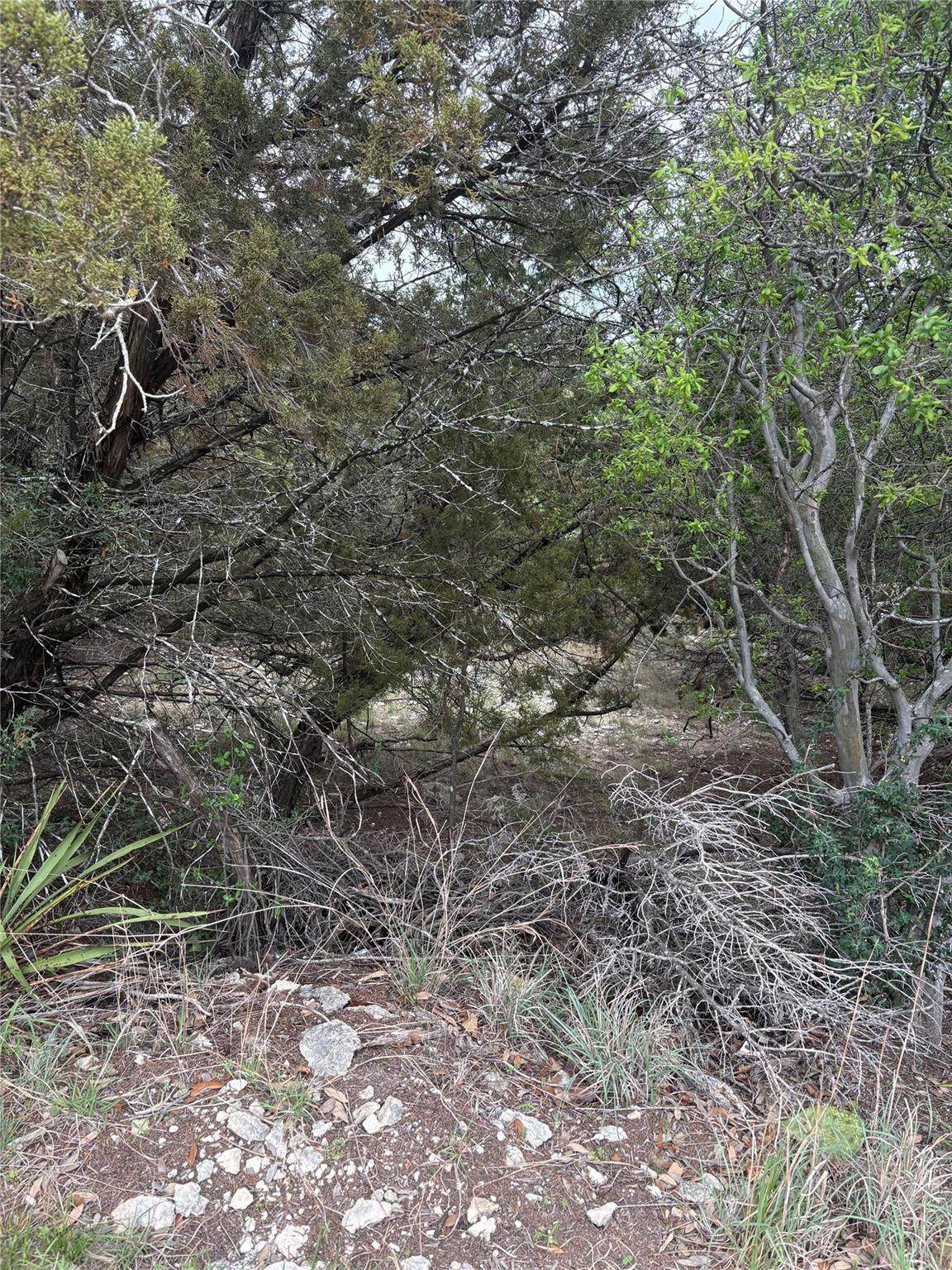 https://bt-photos.global.ssl.fastly.net/austin/orig_boomver_1_6675308-2.jpg