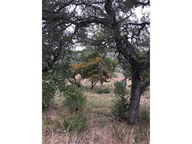 Lor K10163 Buzzards Roost - Photo 1