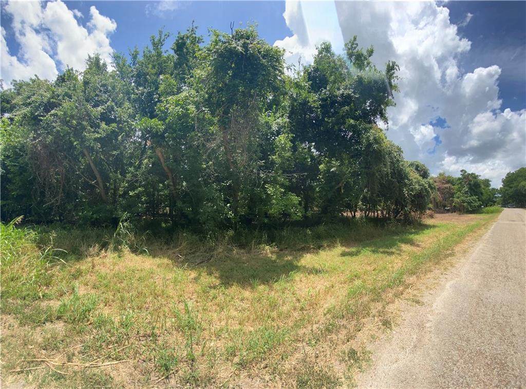 147 Kahana - Photo 1