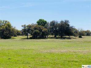 TBD E Trimmier Road Rd - Photo 1