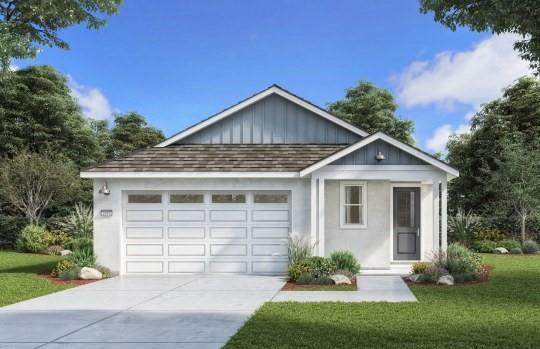 3802 Wild Olive Way - Photo 1