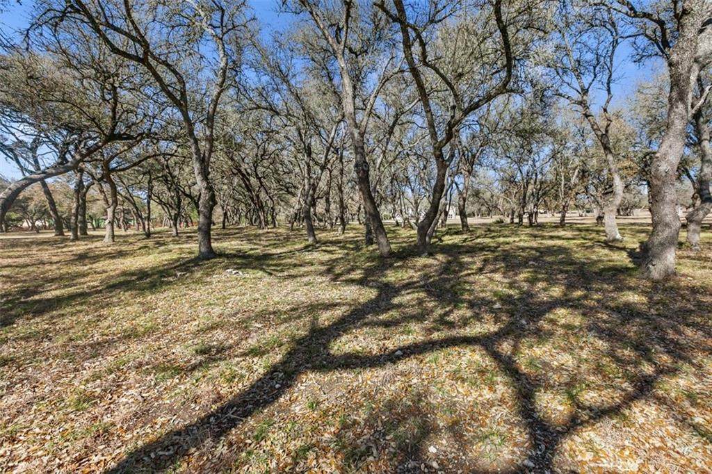 003 Spanish Oaks Trl - Photo 1