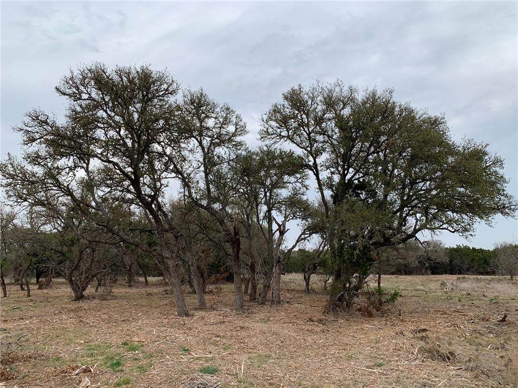 73 Oak Vista Dr - Photo 1