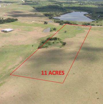 1601 County Road 466 - Photo 1
