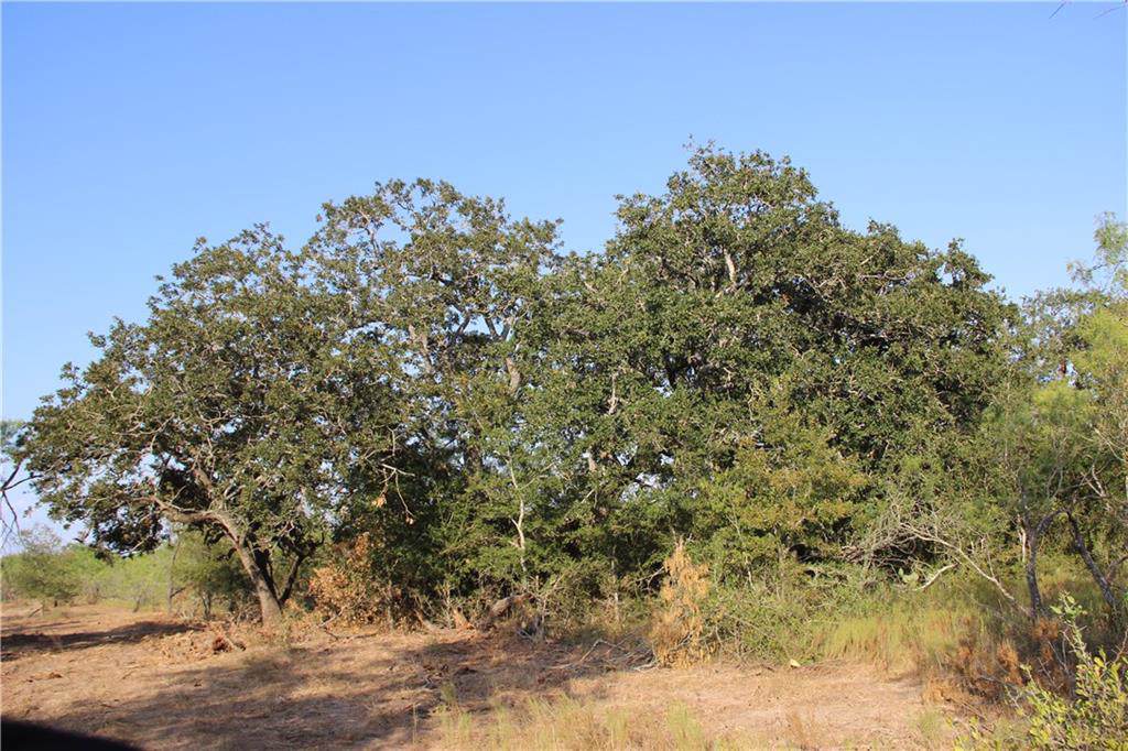 0 Watts Rd - Photo 1