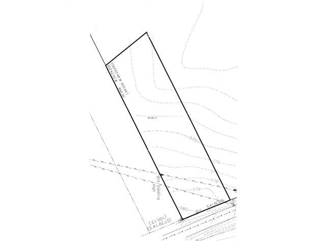 9110 Bluff Springs Rd - Photo 1