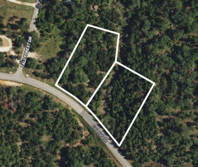 TBD - Lots 1 & 41 Colovista Dr - Photo 1