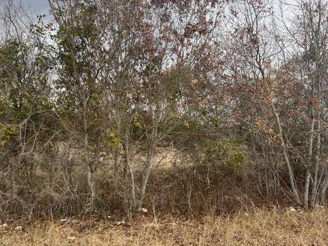 665 County Road 4810 - Photo 1