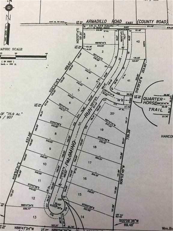 TBD Armadillo Rd - Photo 1