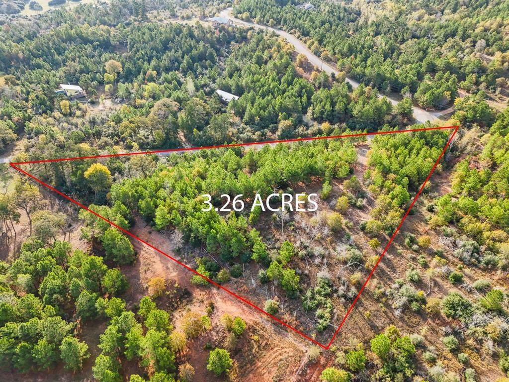 TBD Winfield Thicket Rd - Photo 1