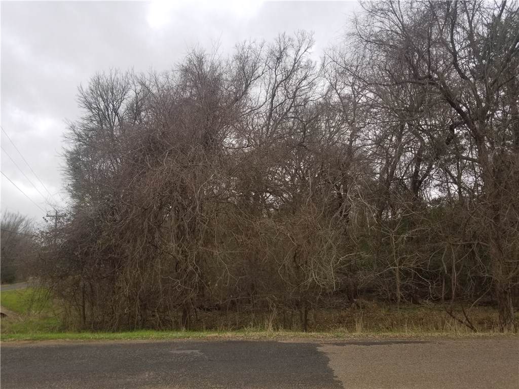 236 Moku Manu Dr - Photo 1