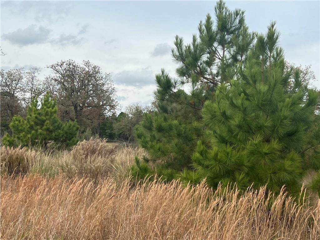 Lot 2 South Old Potato Rd - Photo 1