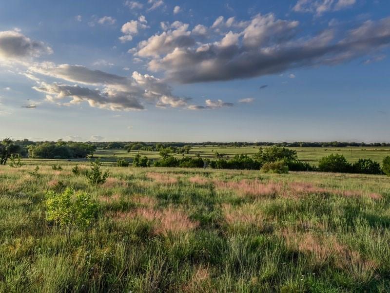 Lot 1 Fm 963 - Photo 1