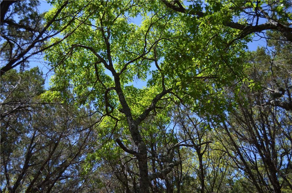 100 Hidden Oaks Rd - Photo 1