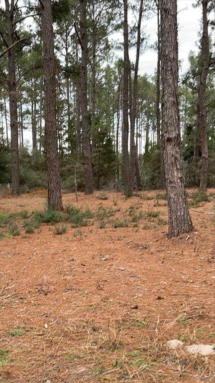 254 Pine View Loop - Photo 1