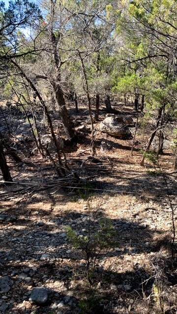 23 Persimmon Dr - Photo 1