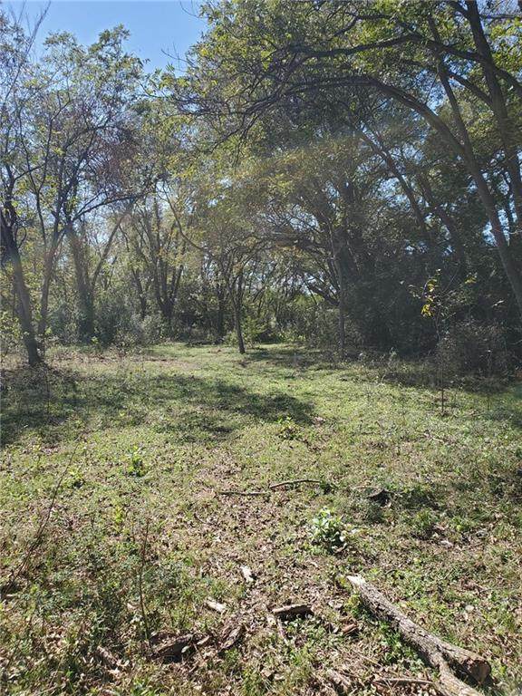 Tract 4 Pleasant Grove Rd - Photo 1