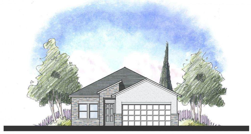 133 Lacey Oak Loop - Photo 1