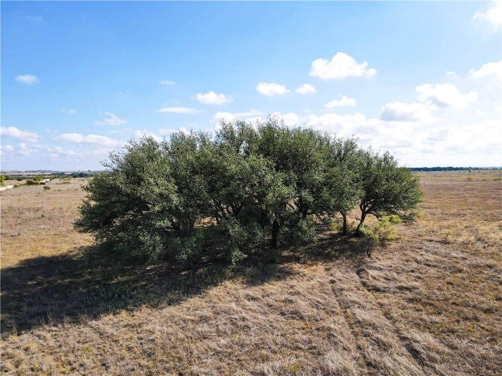 0 Tbd County Road 424 Rd - Photo 1
