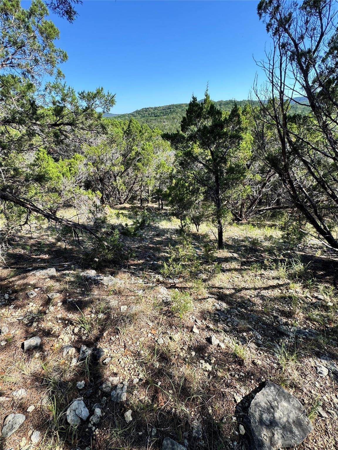 7921 Folklore Cir - Photo 1
