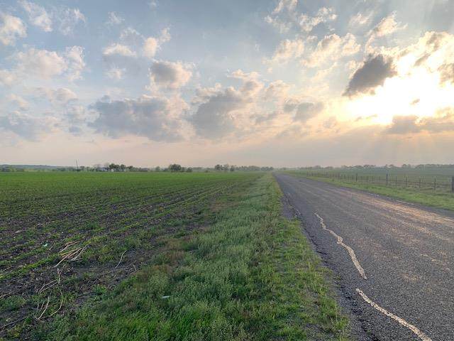 Tract 3 County Road 425 - Photo 1