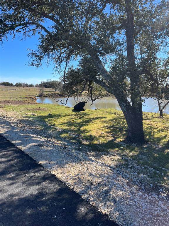 101 Waggener Ranch Rd - Photo 1