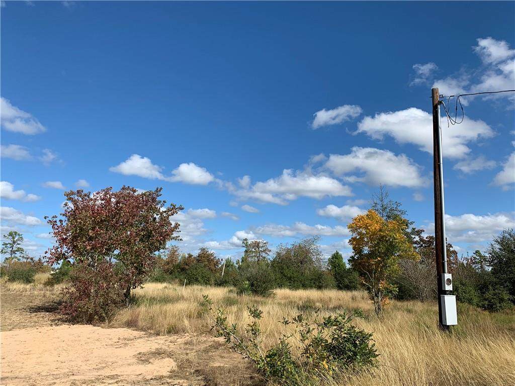 135 Wild Bird Loop - Photo 1