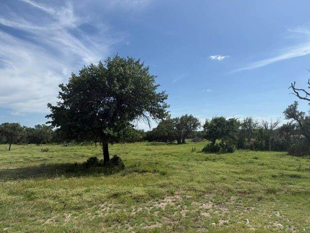 TBD 29 Highway - Photo 1