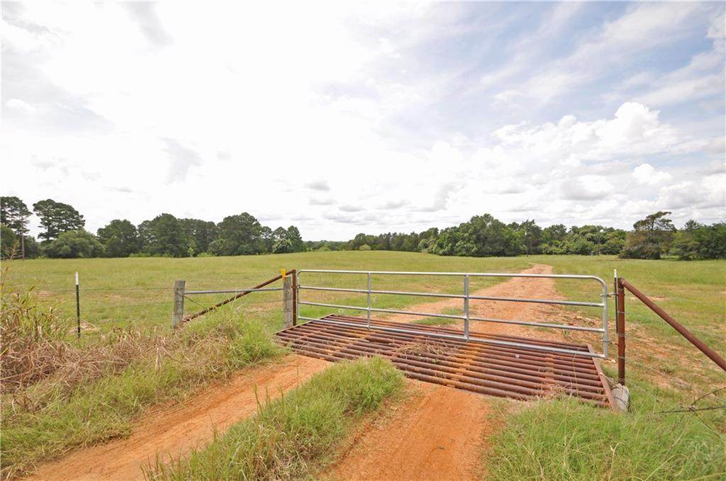 000 Zapalac (Lot 1) Rd - Photo 1