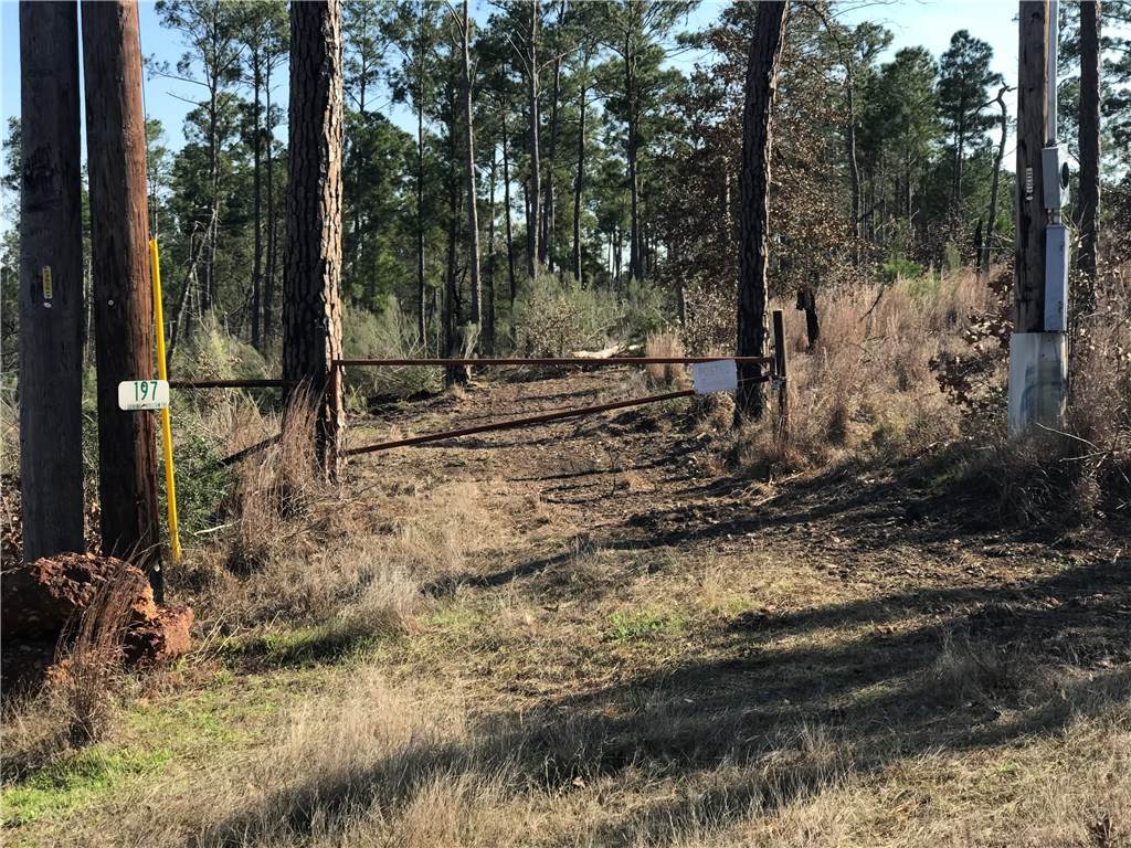 197 Spring Hollow Trl - Photo 1