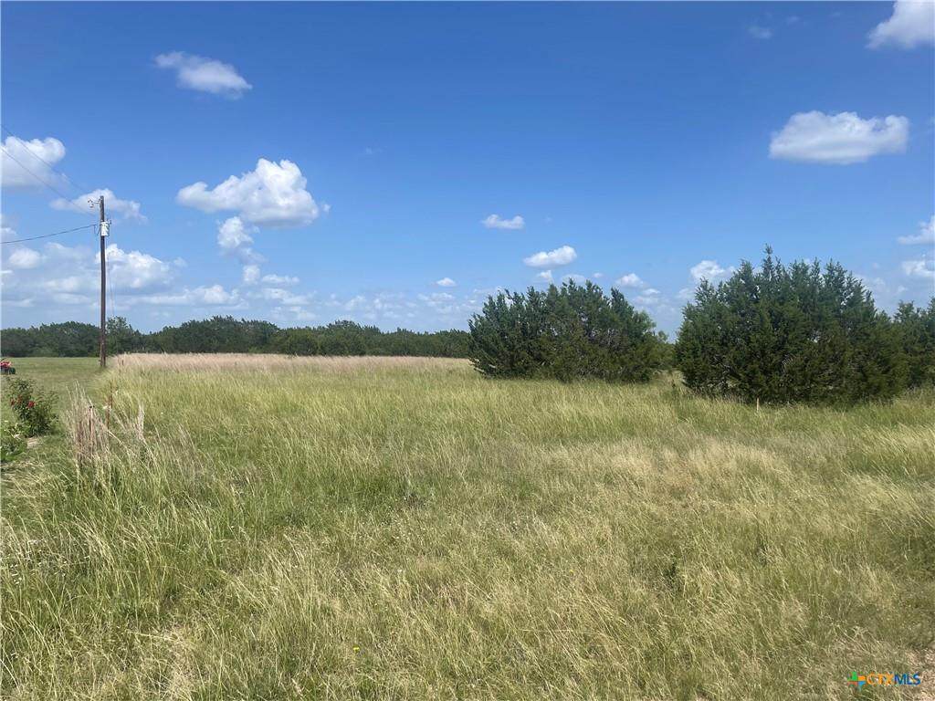Lot 9 Misty Woods - Photo 1
