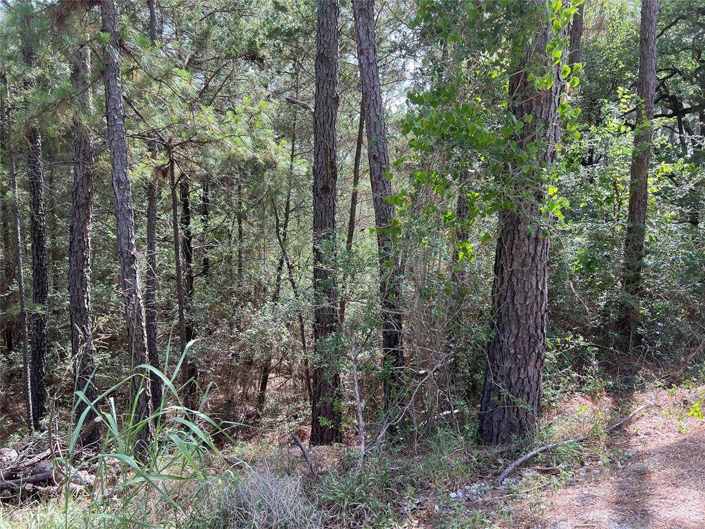 127, 133 Lamaloa - Photo 1