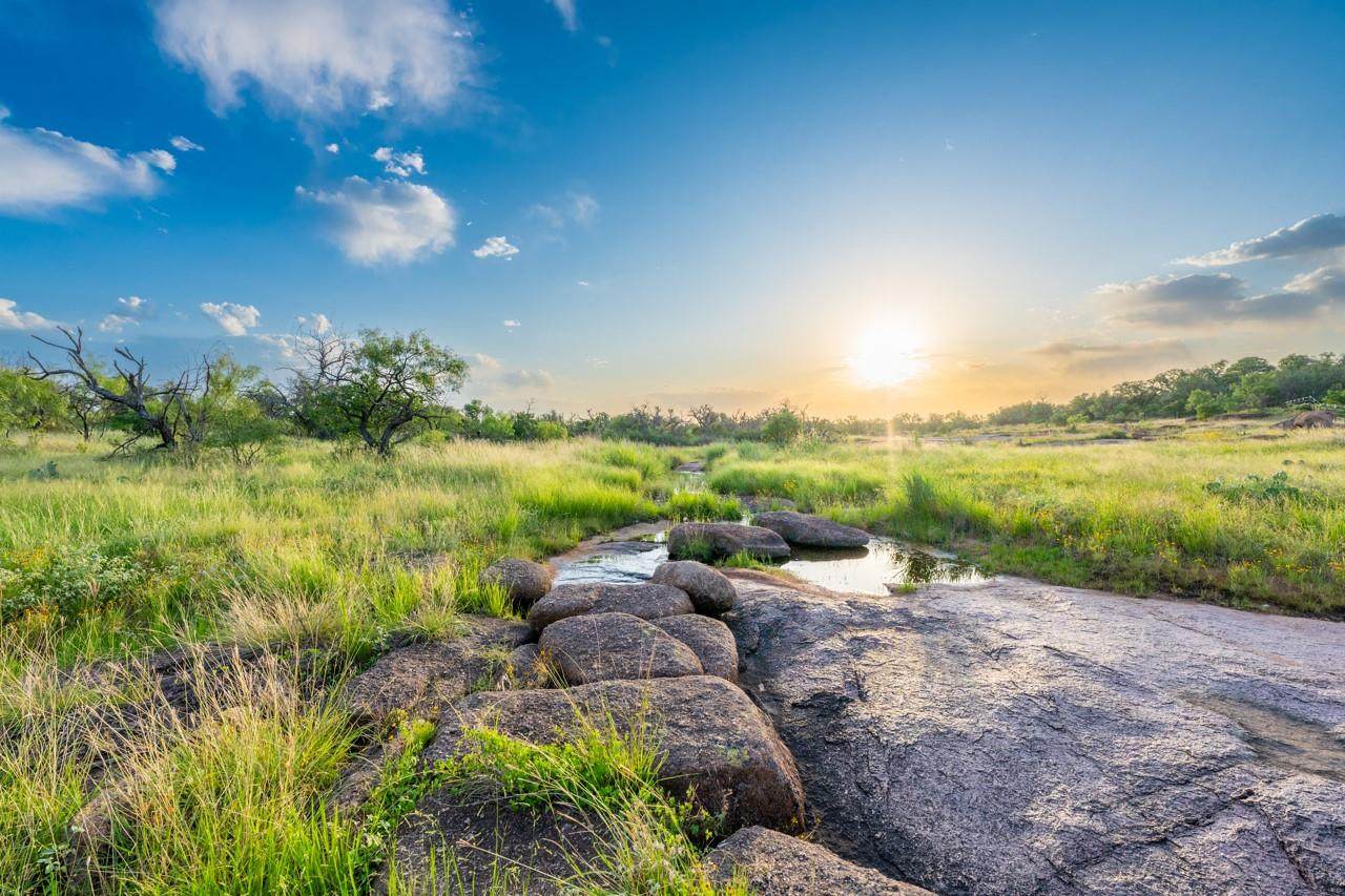 TBD County Road 110 - Photo 1