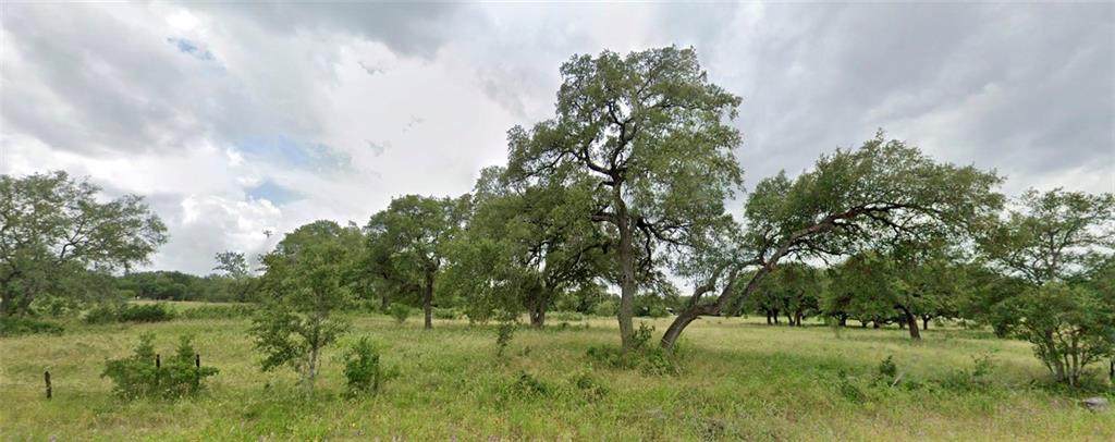None Ranch Road 12 Rd - Photo 1