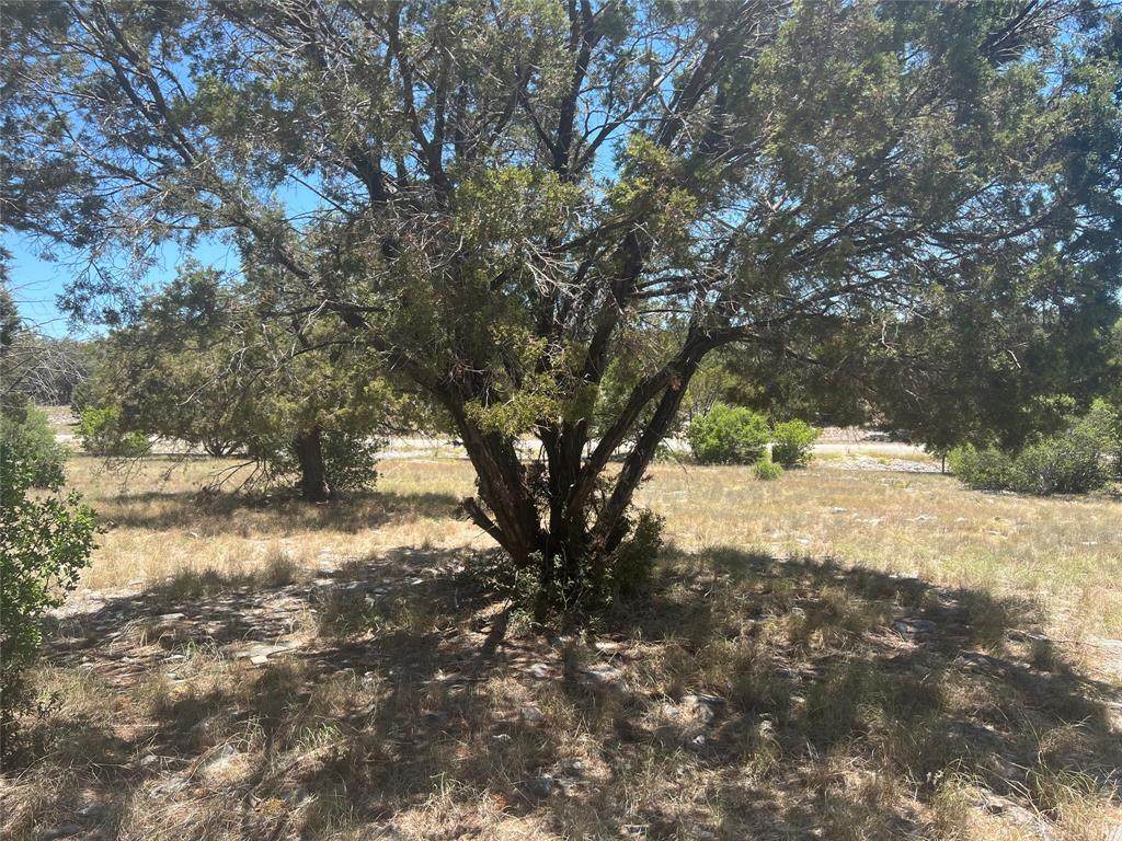 0 Panorama Pass - Photo 1