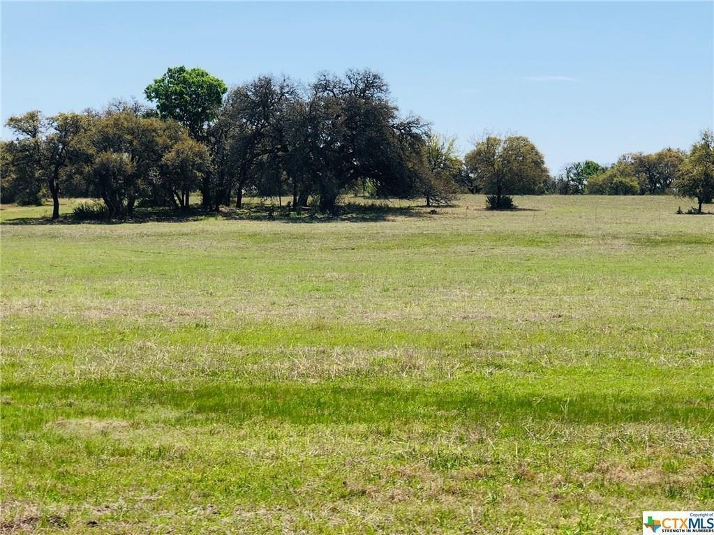 lot 4 Trimmier Road - Photo 1