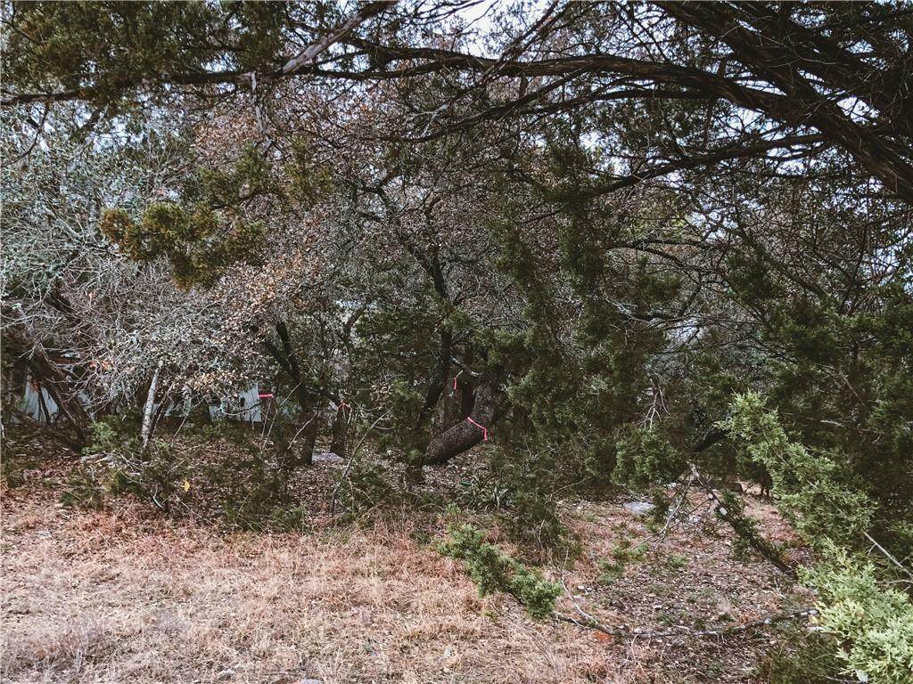 Lots 15 & 16 Rockwood Dr - Photo 1