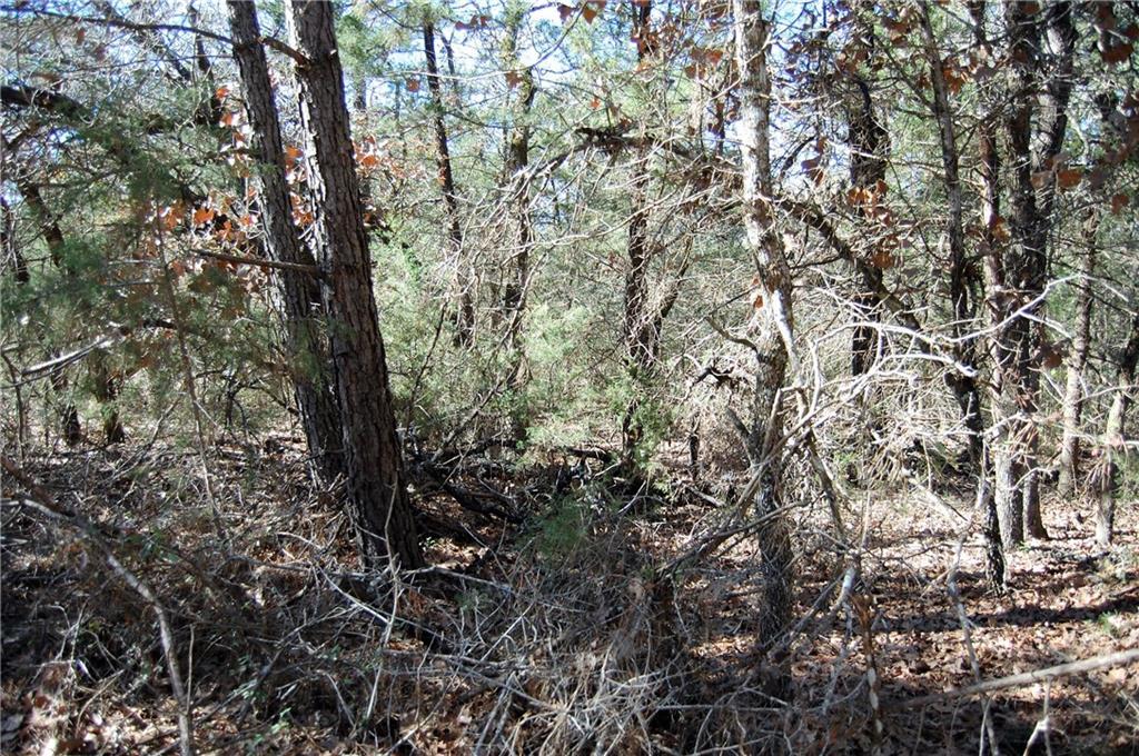 0000 Sandhill - Photo 1