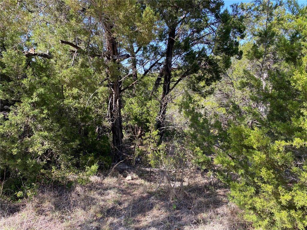 20406 High Dr - Photo 1