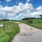 7199 Robinson Rd - Photo 1