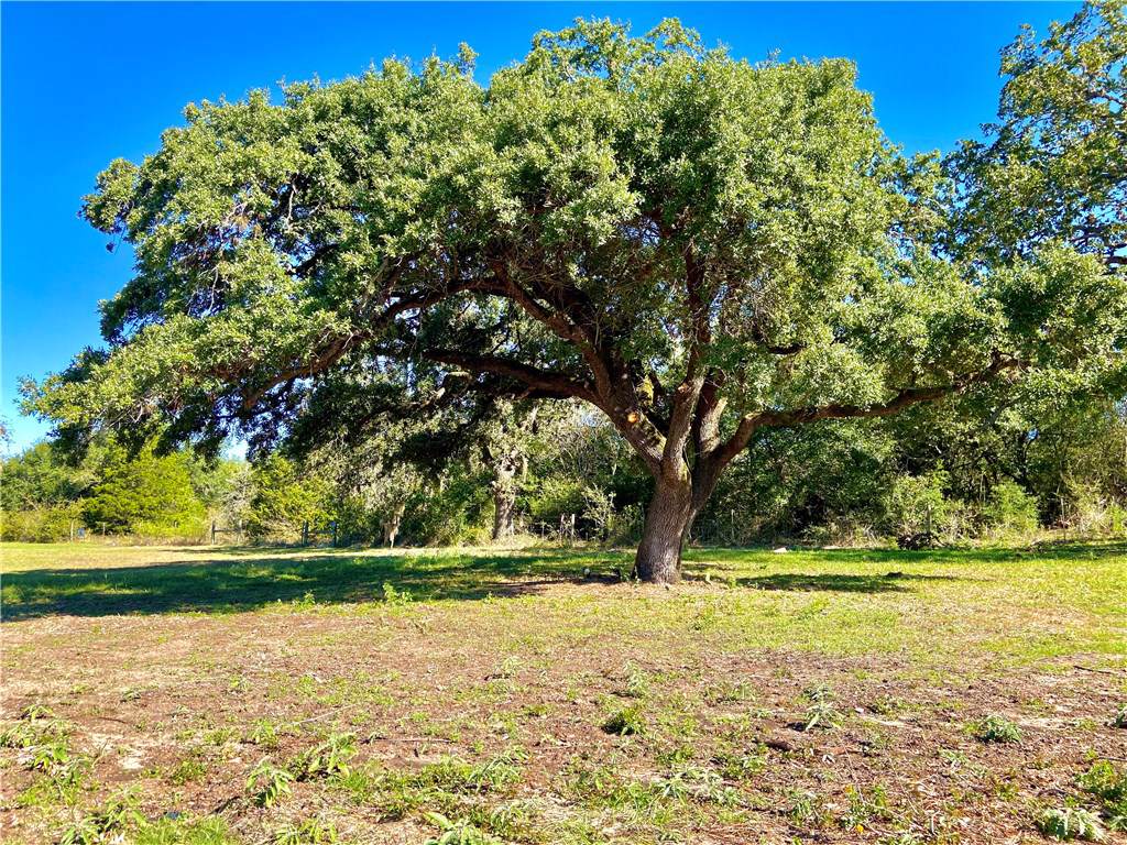 439 Ellinger Rd - Photo 1