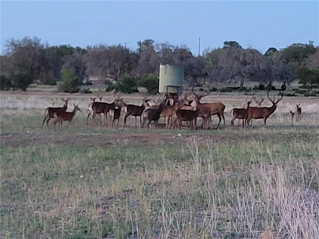 223A Private Road 4718 - Photo 1