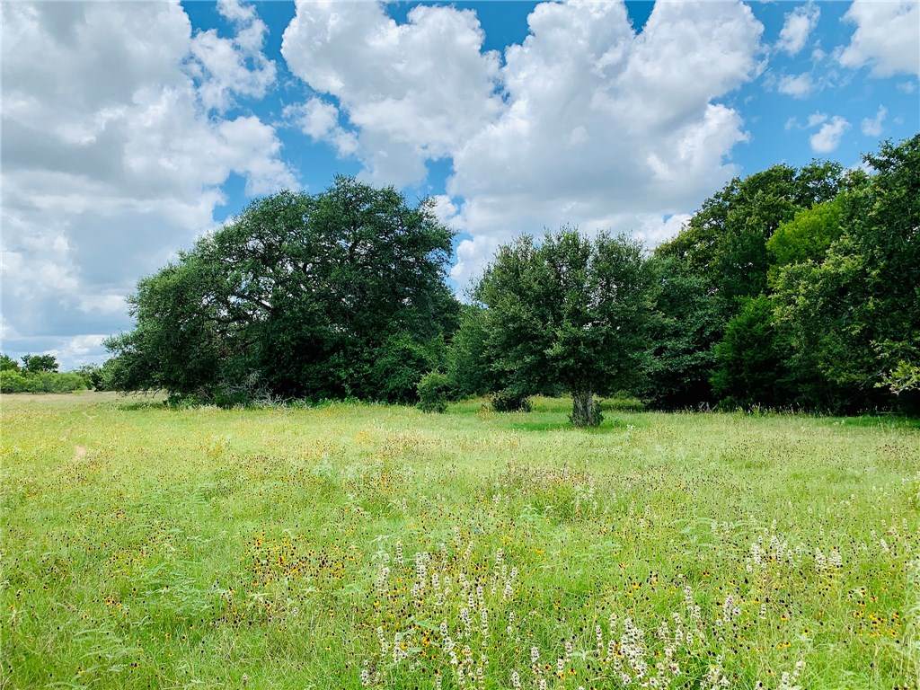 TBD County Road 213 - Photo 1