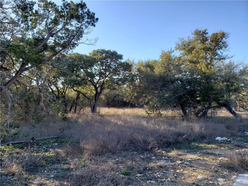 120 Esperanza Petal Pass - Photo 1