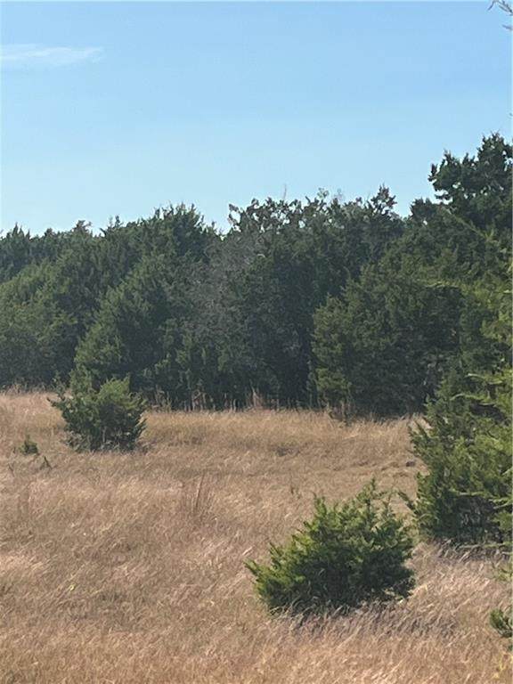200 Canyon Gap Rd - Photo 1